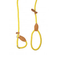Doodlebone - Originals Slip Lead - Sunshine - 12mm
