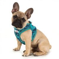 Doodlebone - Originals Pattern Snappy Harness - Electric Party - Size 1