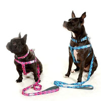 Doodlebone - Originals Pattern Lead - Night Leopard (Blue) - 15mm