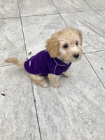Doodlebone - Fleecy Jacket - Purple - Medium (60cm)