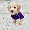Doodlebone - Fleecy Jacket - Purple - Medium (60cm)