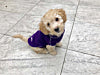 Doodlebone - Fleecy Jacket - Purple - Medium (60cm)