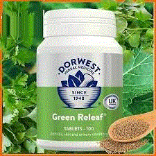 Dorwest Herbs - Green Releaf (Mixed Vegetable Medicines) - 100 tablets