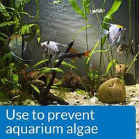 API - Prevent Algae Liquid - 118ml
