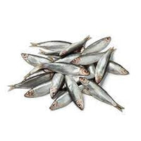 Nutriment - Whole Frozen Sprats - 1kg