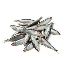 Nutriment - Whole Frozen Sprats - 1kg