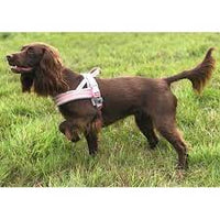 Dog & Co - Reflective & Padded Norwegian Harness - Red - Medium