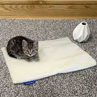 Ancol - Self Heating Pet Pad - Small (48 x 38cm)

