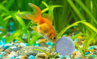 Supa - Weekend Fish Food Blocks - 4 pack