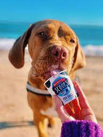 Marshfield Farm - Scoop's Ice Cream for Dogs - Vanilla - 125ml