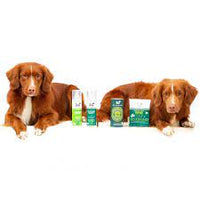 Hound Yup You Stink! Body Mist 250ml (Hownd)