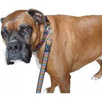 Hem & Boo - Nylon Adjustable Collar Block Dog - Black/pinks - Large (25mm X45-60cm)
