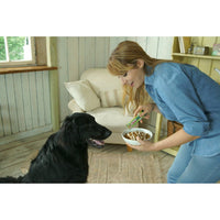 INABA Churu - Unique Creamy Treat For Dogs - Chicken with Salmon Recipe - 4 x 14 tubes