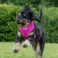 Doodlebone - Originals Airmesh Harness - Blush - Size 1
