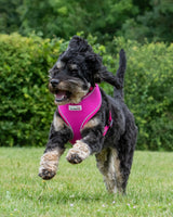 Doodlebone - Originals Airmesh Harness - Ruby - Size 2
