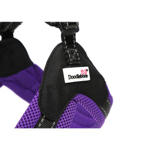 Doodlebone - Boomerang Originals Harness - Violet - Size 6-7