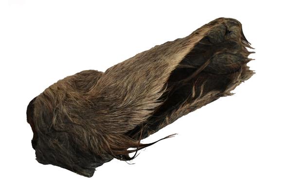 Cow Ear (With Fur) - Per Ear
