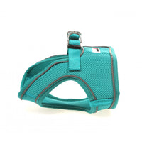 Doodlebone - Originals Snappy Harness - Peacock - Size 5

