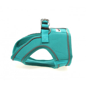 Doodlebone - Originals Snappy Harness - Peacock - Size 5