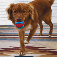 Kong - Jaxx Brights Ball W/Rope - Assorted - Medium