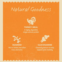 James Welbeloved - Senior Dog Turkey Grain Free 100g Pouch - Single Pouch
