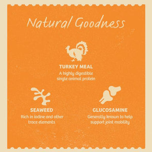 James Welbeloved - Senior Dog Turkey Grain Free 100g Pouch - Single Pouch