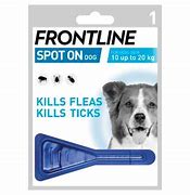 Frontline - Spot On Dog - 10 to 20kg - 1 Pipette