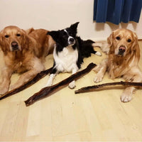 Anco - Naturals Giant Bully Sticks Dog Treat