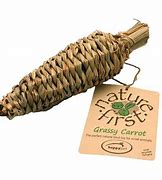 Nature's First - Grassy Carrot Chew Toy