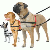 Halti - Harness - Black - Small