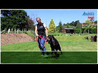 Halti - No Pull Harness - Small