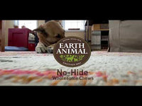 Earth Animal - No Hide - Peanut Butter - Large