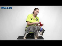 Ancol - Viva Comfort Mesh Dog Harness - Red - Medium
