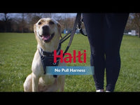 Halti - No Pull Harness - Medium