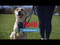 Halti - No Pull Harness - Large