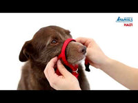 Halti - Head Collar - Black - Size 1