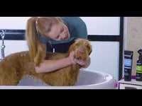 Animology - Hair Of The Dog Shampoo - 250ml