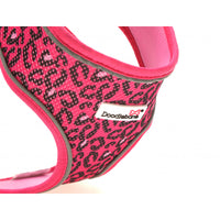 Doodlebone - Originals Pattern Airmesh Harness - Bright Leopard - Size 6-7
