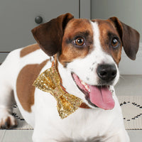 Pet Brands - Festive Gold Sequin Bow Tie