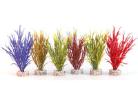 Sydeco - Coloured Plants Sea Grass Baby - 16cm