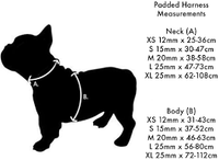Red Dingo - Orange DogTooth (Fang-It) Dog Collar - X Small
