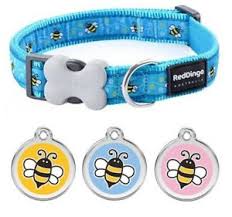 Red Dingo - Turquoise Snowflake Dog Collar - X Small