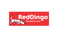 Red Dingo - Turquoise Snowflake Dog Collar - Large