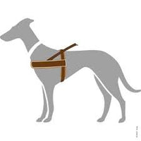 Dog & Co - Reflective & Padded Norwegian Harness - Red - Medium