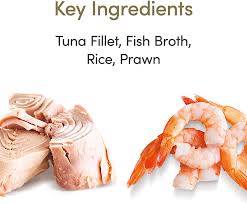 Applaws - Cat Broth Pot - Luxury Tuna Fillet With Prawn - 60g