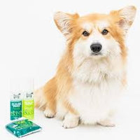 Hound Yup You Stink! Body Mist 250ml (Hownd)
