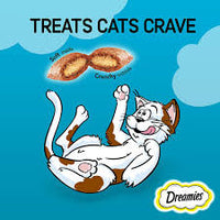 Dreamies - Cat Treats With Salmon - 200g Mega Pack
