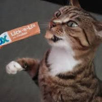 Webbox - Cats Delight Lick E Lix - Milk & yoghurt - 70g