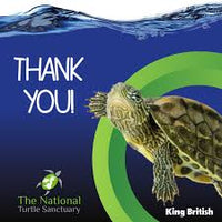 King British - Turtle and Terrapin Food Sticks (with IHB) - 110g

