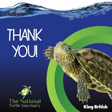 King British - Turtle and Terrapin Food Sticks (with IHB) - 110g